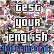 プログラムのアイコン：Test Your English II.