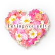 Иконка программы: Heart Theme Loving you on…