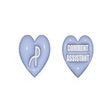 Icon of program: Plave Comment Assistant