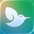 程序图标：Simple Vegan - Recipes  P…