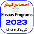 PM Ehsaas 25000 relief
