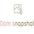Biểu tượng của chương trình: Dom Snapshot+