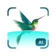 Ikon program: Bird Detect