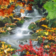 プログラムのアイコン：Forest, waterfall, lake