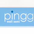 プログラムのアイコン：pingg
