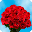 程序图标：Images of roses