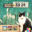 Icon of program: トイカメラ風猫の壁紙きせかえ　Hello
