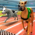 Symbol des Programms: Real Dog Racing Simulator…