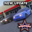 4 NEW CARS  BUG FIXES MORE Roanoke
