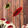 Pictogram van programma: Beetle Thief