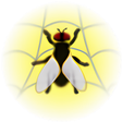 プログラムのアイコン：WebLight