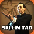 Ip Man Wing Chun Kung Fu : SLT