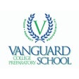 Programın simgesi: Vanguard Vikings