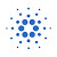 Icon of program: Cardano Lookup