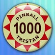 Ikon program: Pinball Tristan