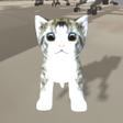 程序图标：CatSimulatorOffice