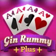 Gin Rummy Plus Card Game
