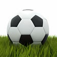 Symbol des Programms: UEFA Euro 2012 Kalender/S…