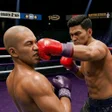 Ikon program: Boxing - Fighting Clash