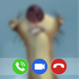 Ícone do programa: Bora Toma Uma Video Call