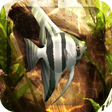 Icon of program: HD Aquarium Live Wallpape…
