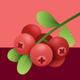 Ikon program: Cranberry VPN