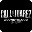 Symbol des Programms: Call of Juarez 2 - Bound …