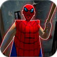 Иконка программы: Spider Granny V2: Scary G…