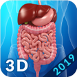 ไอคอนของโปรแกรม: Digestive System