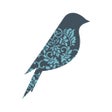 Mint Bird Studio icon