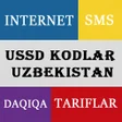 程序图标: USSD коды