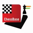 プログラムのアイコン：ChessBase India