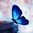 程序图标：Butterfly Wallpaper 4k
