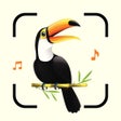 أيقونة البرنامج: Bird Song Identifier Soun…