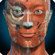 Ícone do programa: Anatomy Learning - 3D Ana…