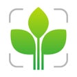 프로그램 아이콘: Leaf Identification Plant…