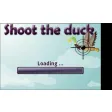 Shoot the Ducks
