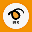 程序图标：BIR