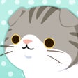 プログラムのアイコン：にゃんかつ