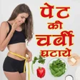程序图标：Pet Ki Charbi Ghataye - M…