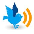 プログラムのアイコン：TwitBin