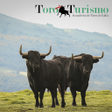 程序图标：Ganaderías de Toros de Li…