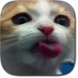 Icon of program: Cat Lick Screen Live Wall…
