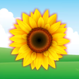 程序图标：Flowers Name Learning for…