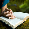 程序图标：Bible Verses For Every Si…