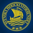 プログラムのアイコン：Swehockey