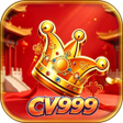 ไอคอนของโปรแกรม: CV999 Tile Treasure