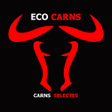 程序图标：Ecocarns