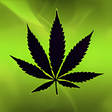 Иконка программы: Falling Weed Live Wallpap…