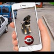 Icon of program: Pocket Dogs GO AR